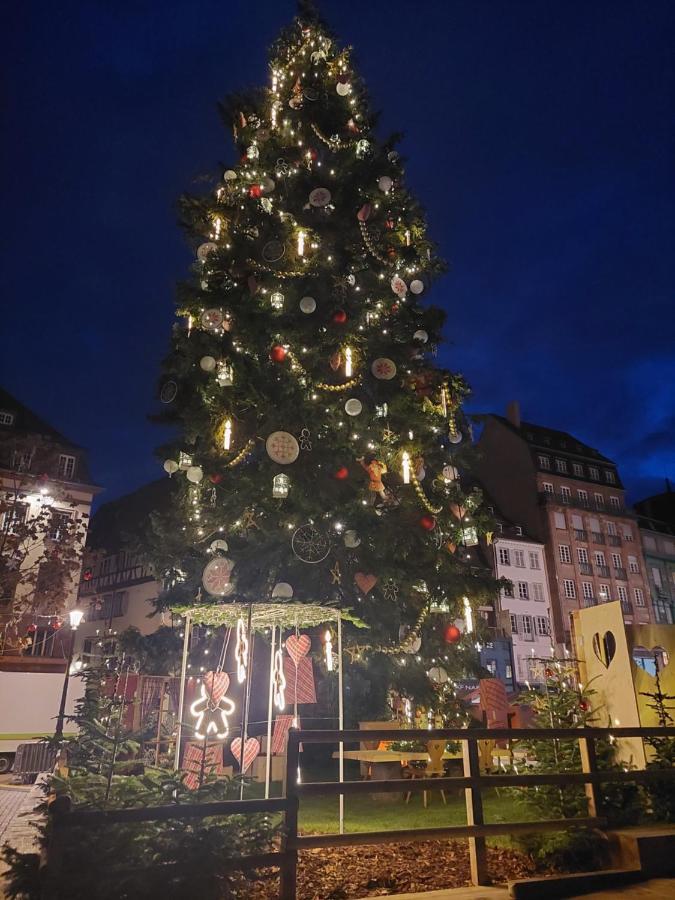 Porte De France Strasbourg Bagian luar foto